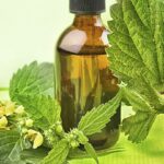 herbal medicine and herbal products