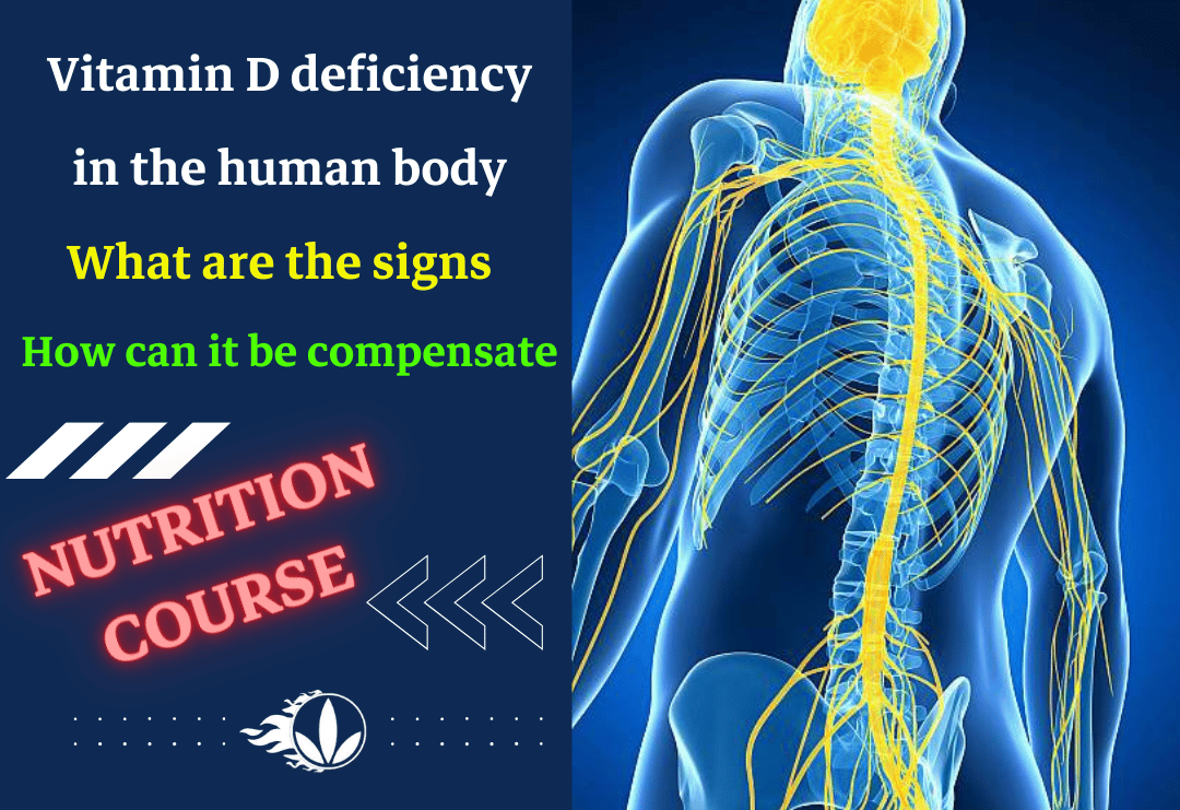 Vitamin D is one of the most important vitamins for the health of bones and teeth